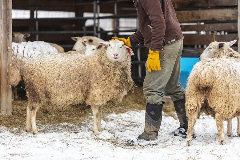 Rocky Brands buys performance footwear portfolio