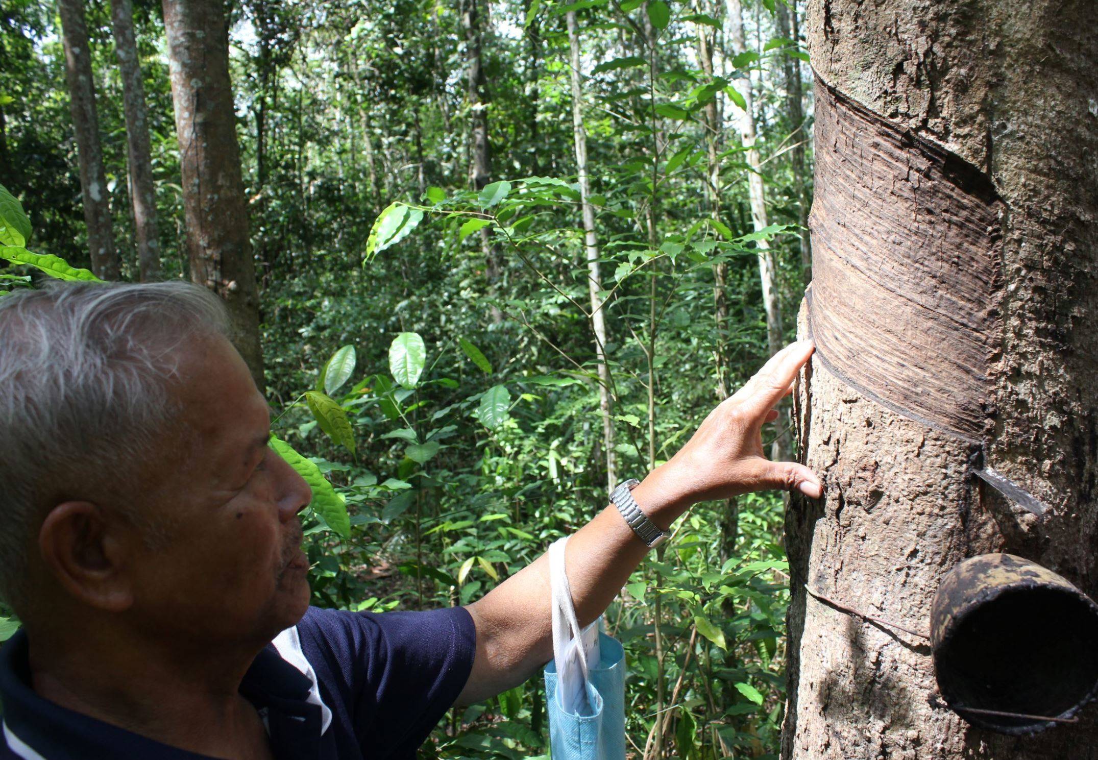 Footwear brands launch 'regenerative rubber' initiative