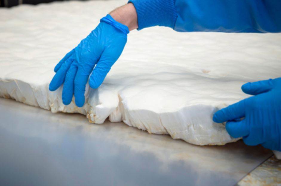 Vivobarefoot to test mycelium foam for footwear