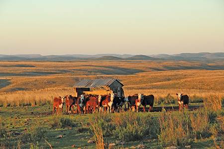 Veja’s 180-degree turn                                                                                                                                                                                  