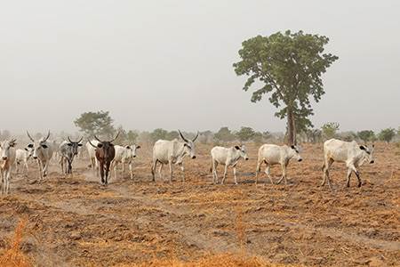 Reconciling conflicting concepts                                                                                                                                                                        