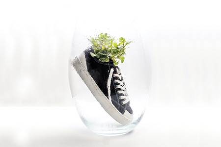 Driving digital transformation                                                                                                                                                                          