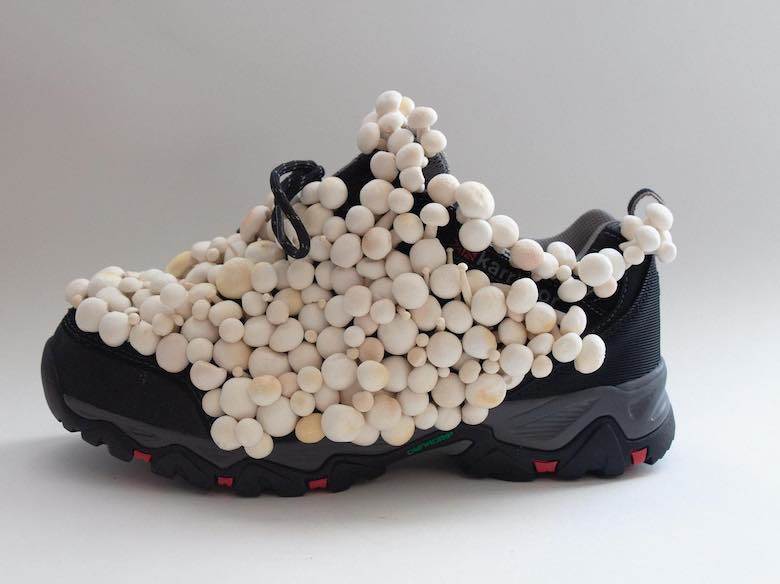 AEC to host Elche trend event with WGSN