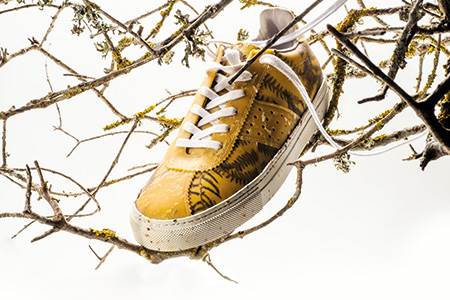 Biomaterials for footwear                                                                                                                                                                               