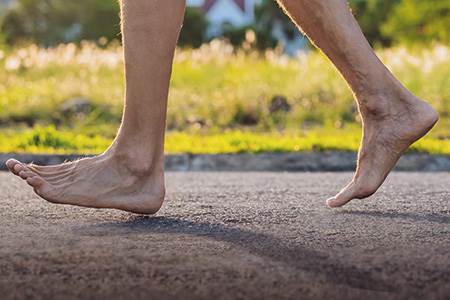 The remarkable foot