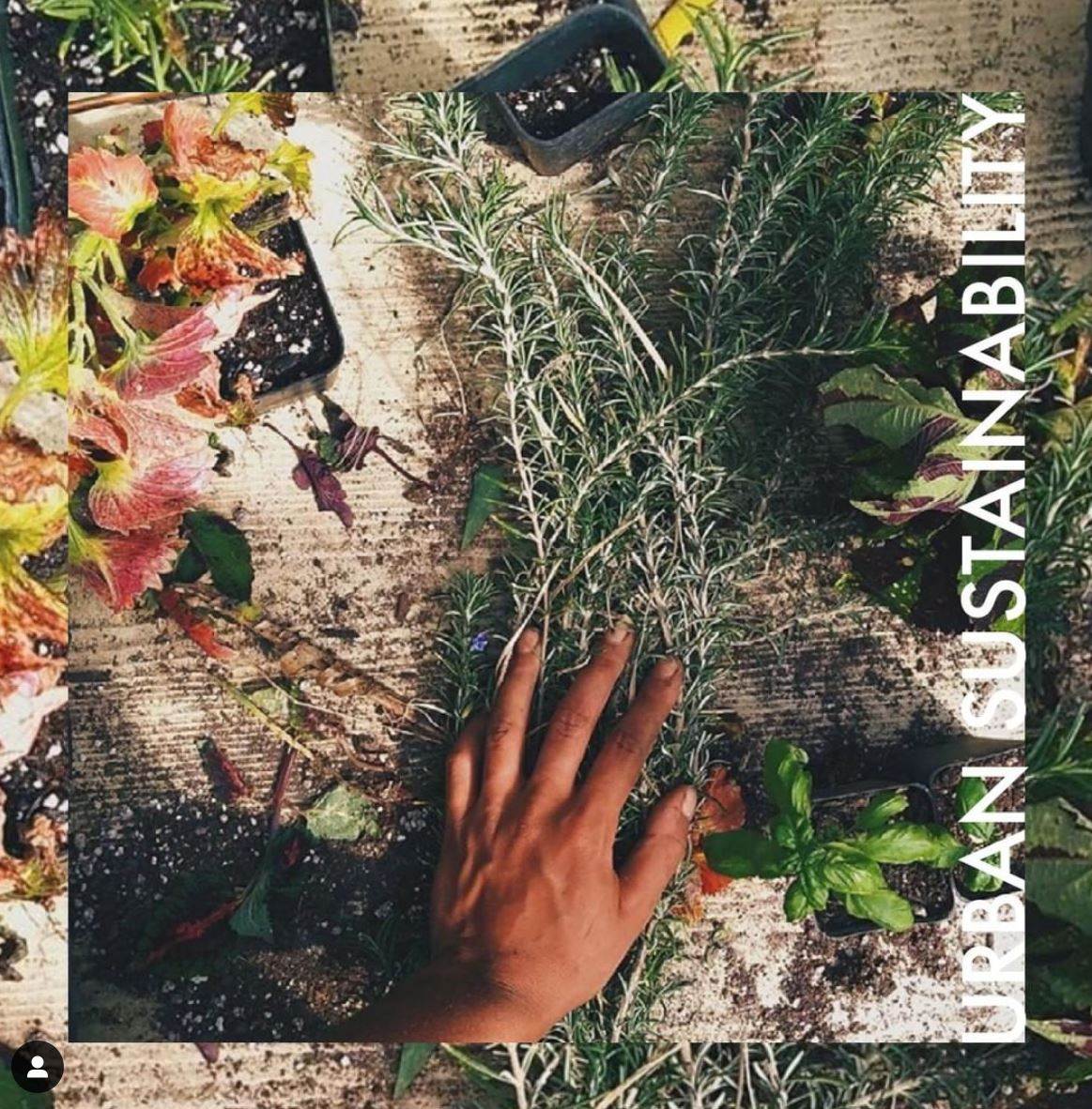 Empowering consumers is key to circularity: webinar