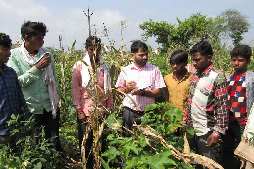 Bestseller building on relationship with OCA                                                                                                                                                            