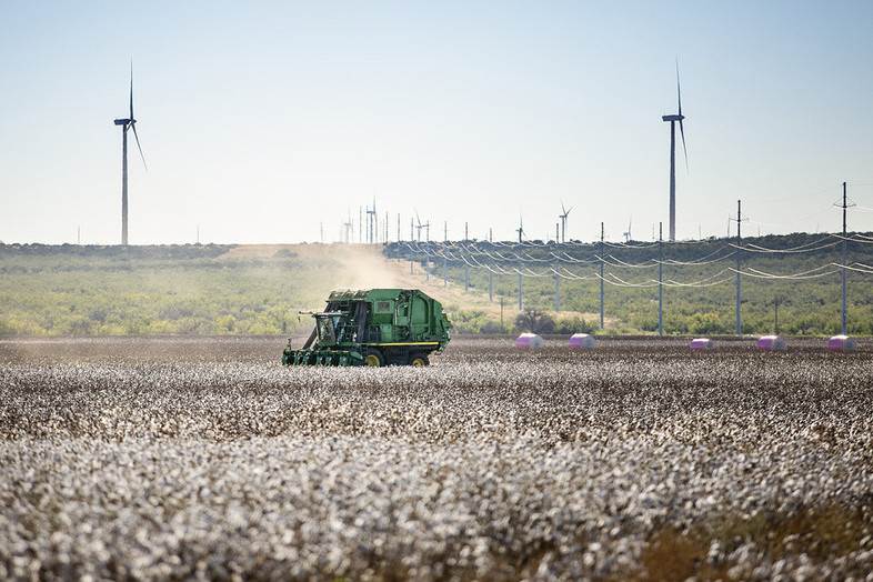 Wrangler seeks ‘regenerative’ cotton farmers for Jeans Redesign project