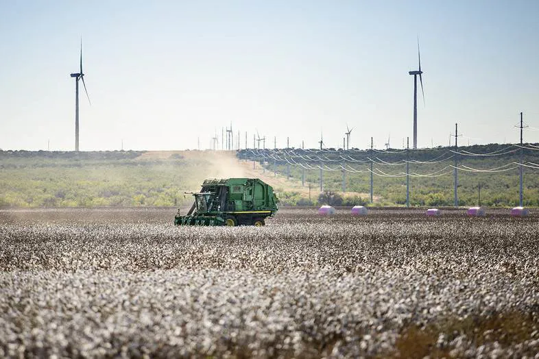 Wrangler seeks ‘regenerative’ cotton farmers for Jeans Redesign project