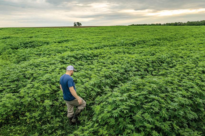 Patagonia to launch hemp denim line for Autumn 2021