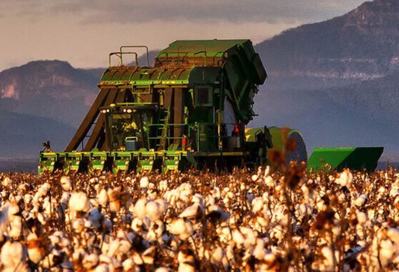 Australian cotton industry statement on exports to China