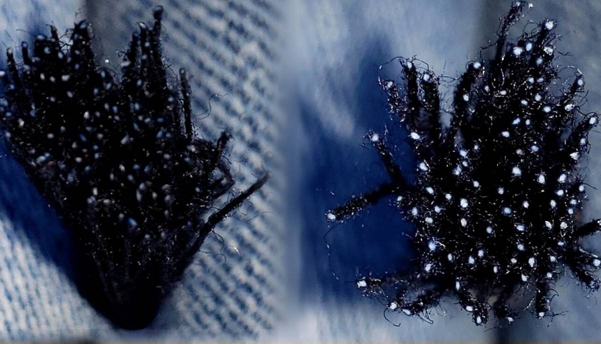 Archroma backing will take CleanKore to ‘next level’