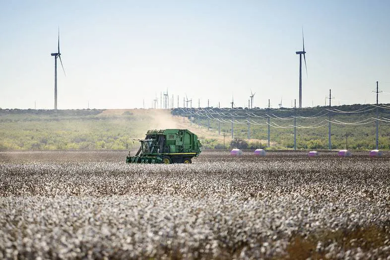 ‘This is our moment’: Regenerative agriculture aims to reap wider benefits