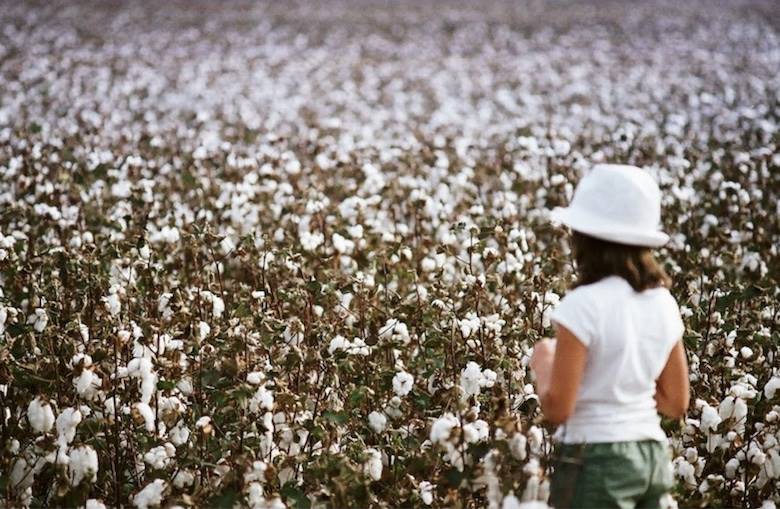 US Cotton Trust Protocol welcomes China’s Advance Denim