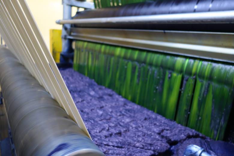 Elevate Textiles on track for sustainably sourced cotton target