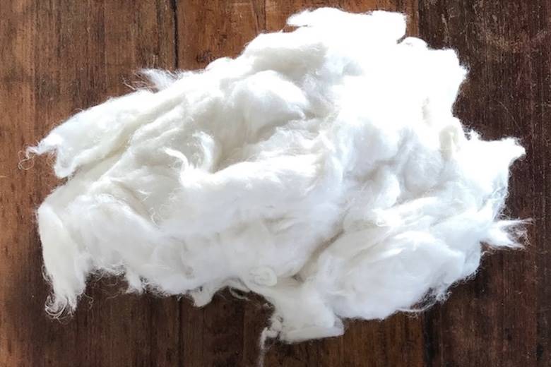 Kontoor and Panda Biotech grow US hemp alliance