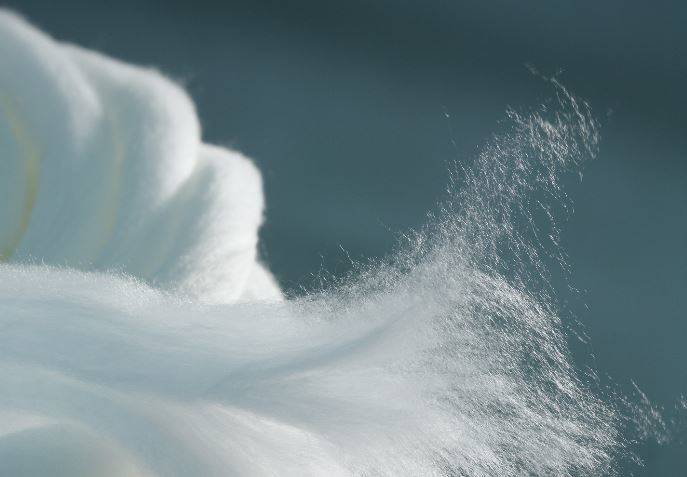 Strong recovery in the fibre markets, Lenzing says