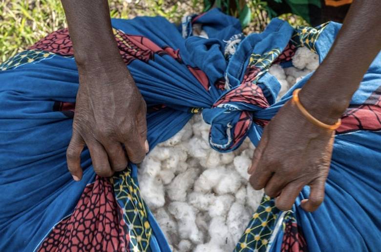 Jump in demand for Cotton made in Africa