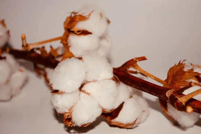 Recycling cotton could save Bangladesh clothes sector $500 million a year