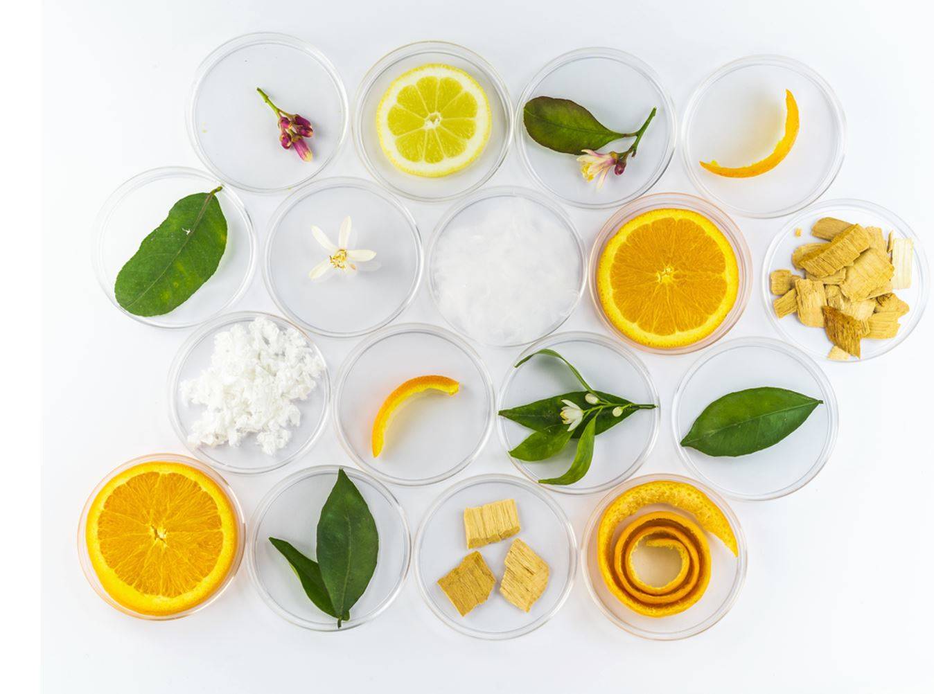 Lenzing hits a sweet note with Orange Fiber deal