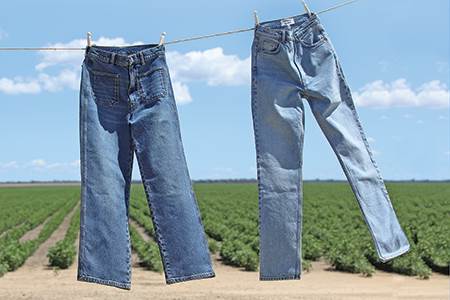 Redesign reaches the market