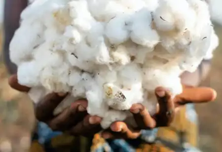 New growth for Cotton made in Africa