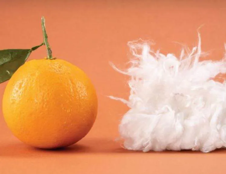 Long read: Agricultural waste turned into fibres