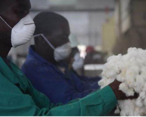 Long read: Africa’s cotton potential