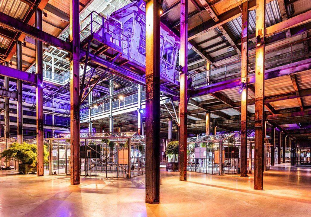 SugarCity here we come: Kingpins plans return