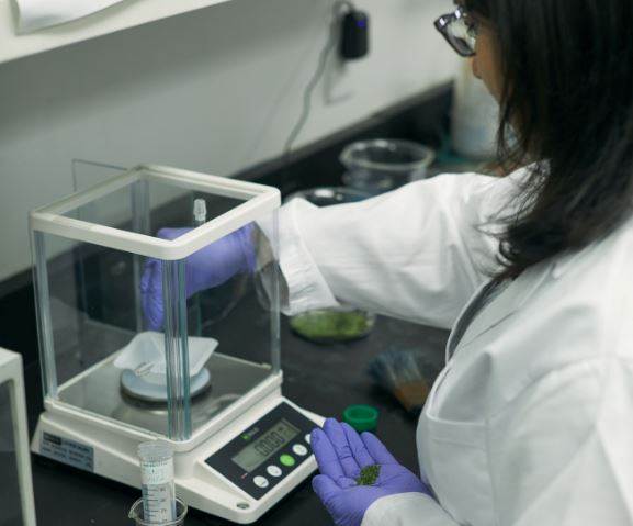 Stony Creek offers pigment testing service