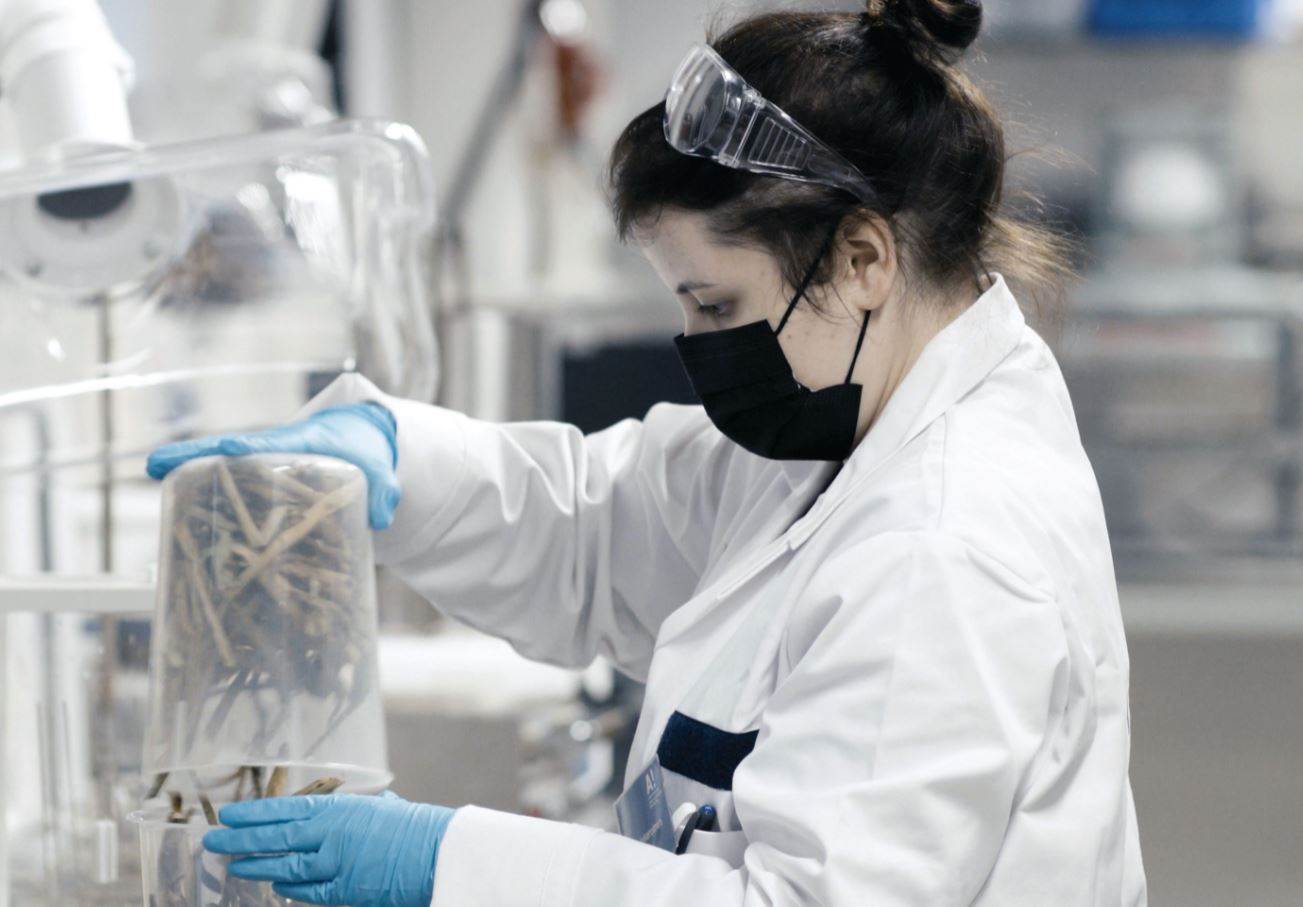 Finnish start-up spins novel wood-based fibre