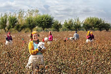 Cottoning on: Uzbekistan, now                                                                                                                                                                           