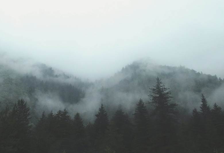 Jilin's revenues surge despite covid measures