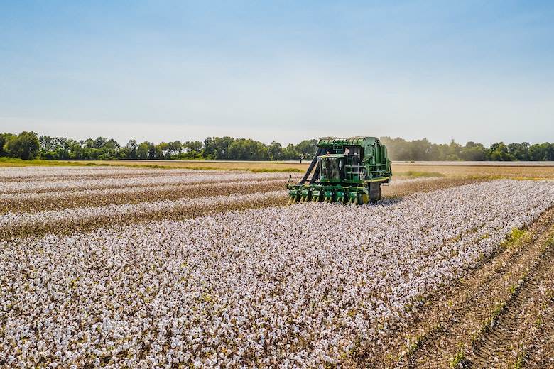 Spotlight to shine on e3 cotton in New York