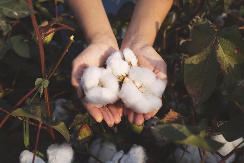 Cotton report quizzes mills on transparency