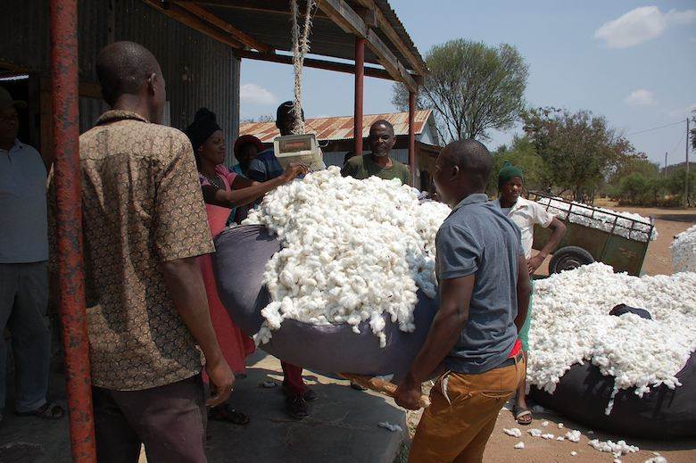 Reinhart offers traceable GOTS cotton from Tanzania