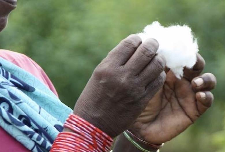 Raddis Cotton lands first long-term collaboration