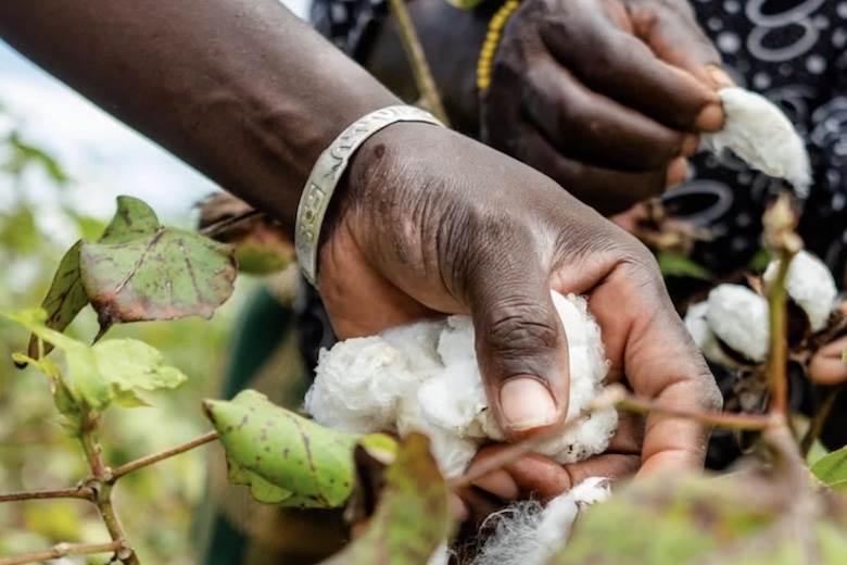 Better Cotton now 'mainstream', says CEO