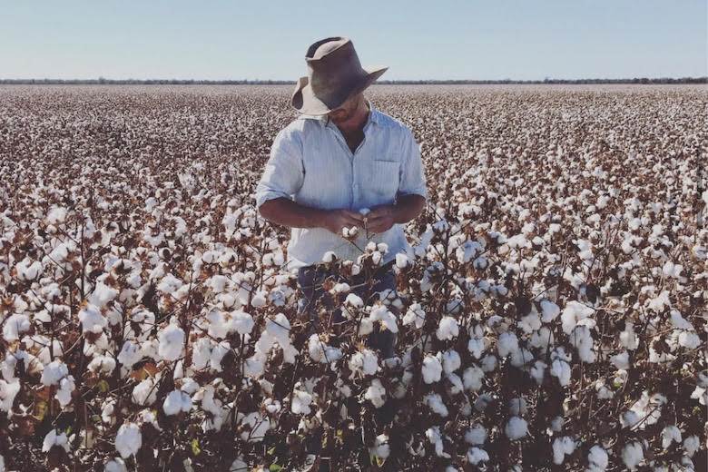 Water and emissions improvements for Australian cotton