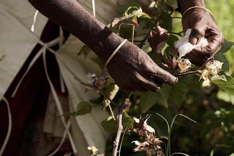 Textile Exchange issues ‘fibre challenge’ updates