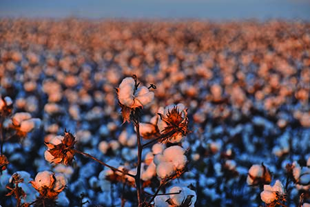 The quest for common metrics                                                                                                                                                                            