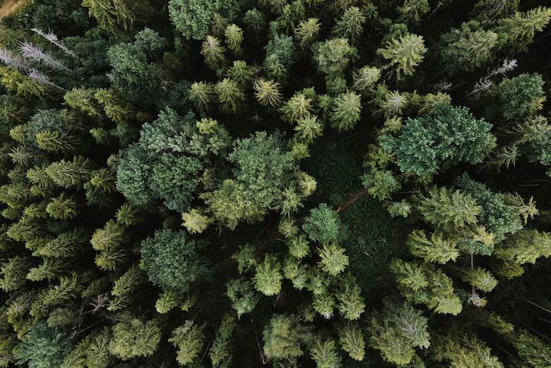 Canopy releases 2022 audit results