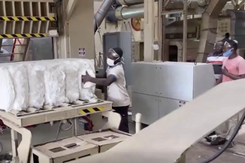 Ambitious cotton plans in Benin