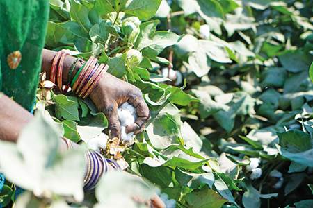 Closer cotton connections