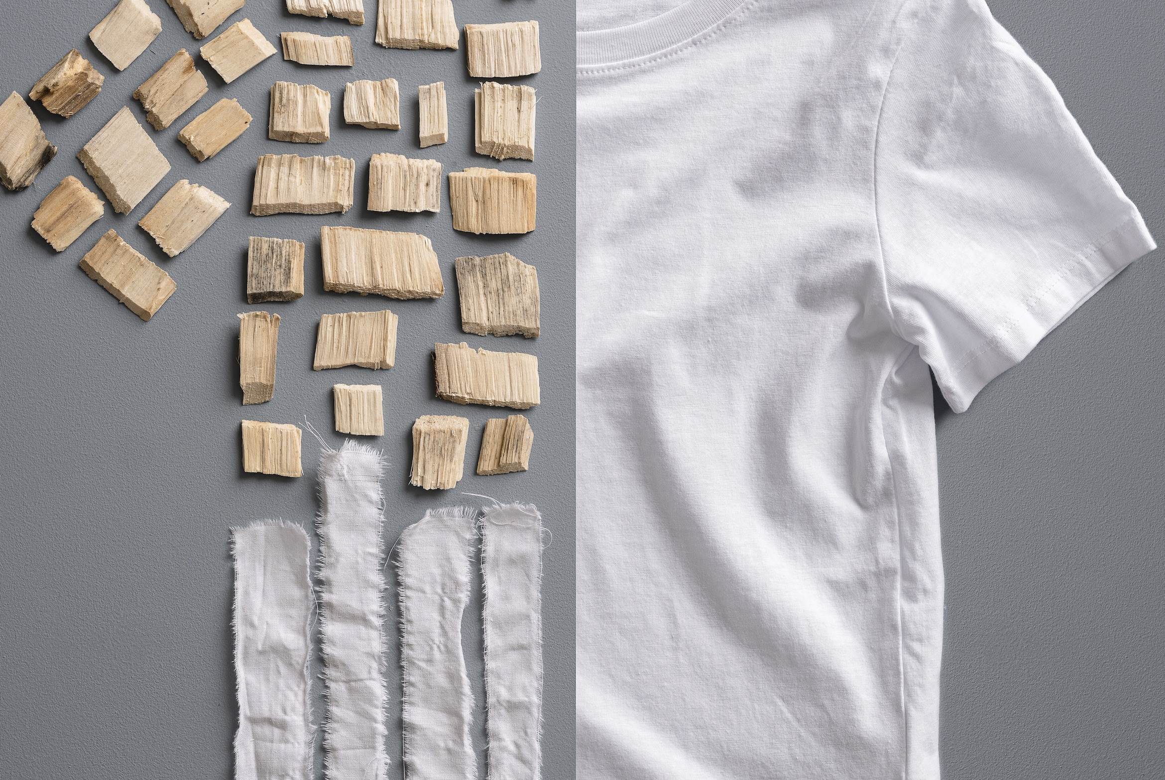 Collaborative effort in favour of circularity