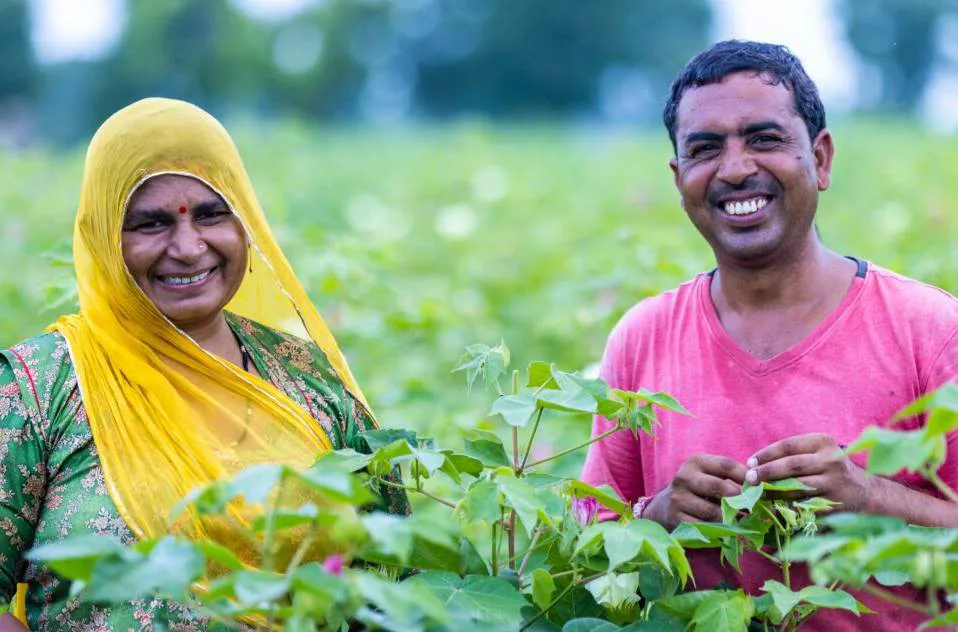 Positive outlook for direct-to-farm programme
