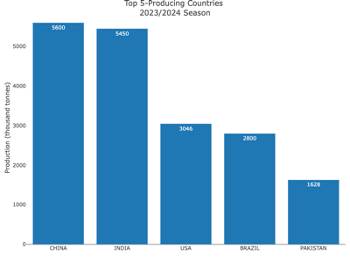 ‘Alarm bells’ for cotton producers - ICAC