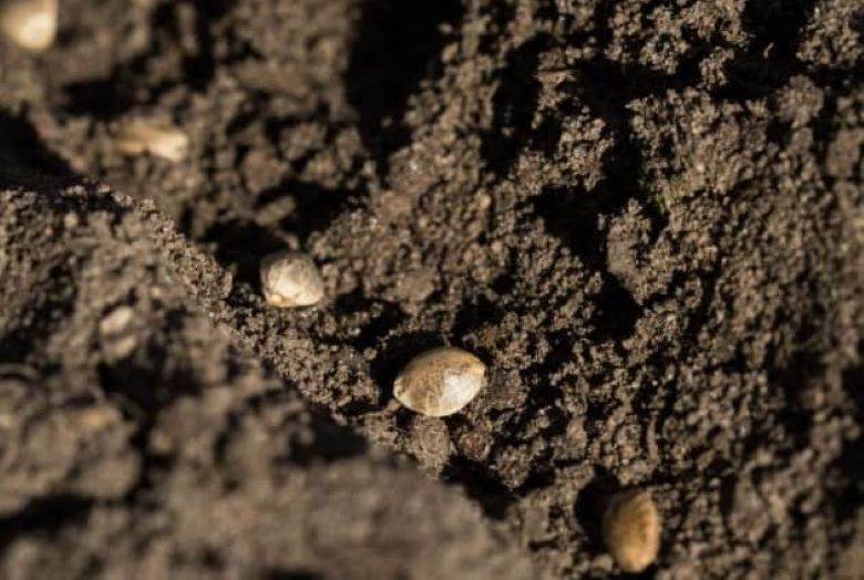 Textile Exchange matrix made open-source