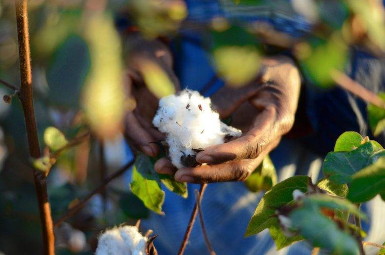Improved livelihoods are Better Cotton’s aim in Africa