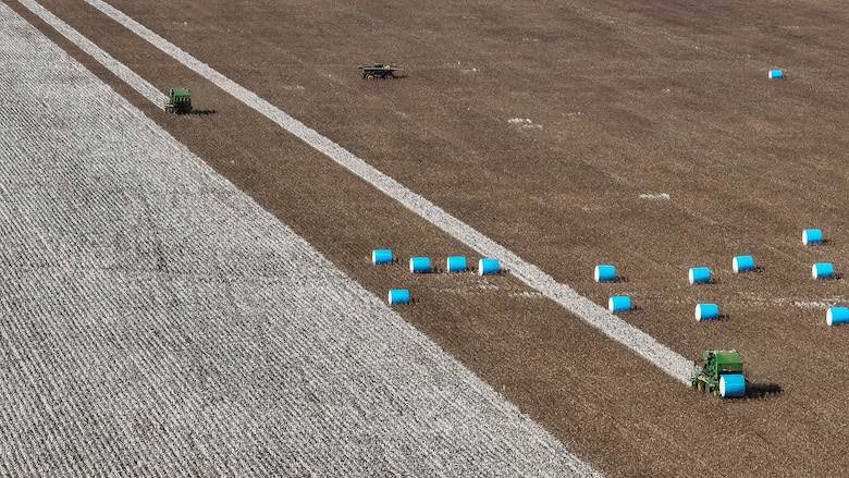 Farms, mills, brands and industry bodies implicated in cotton report